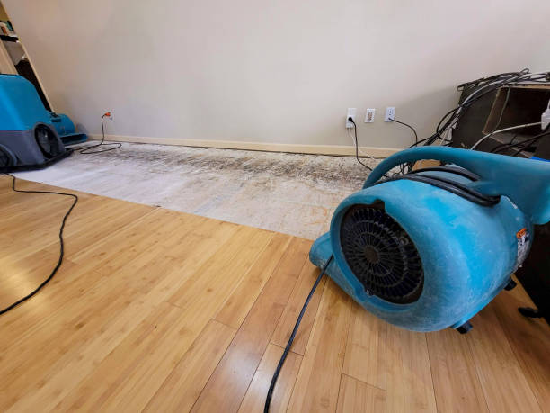 Professional Ceiling Water Damage Repair technician working in Somis, CA